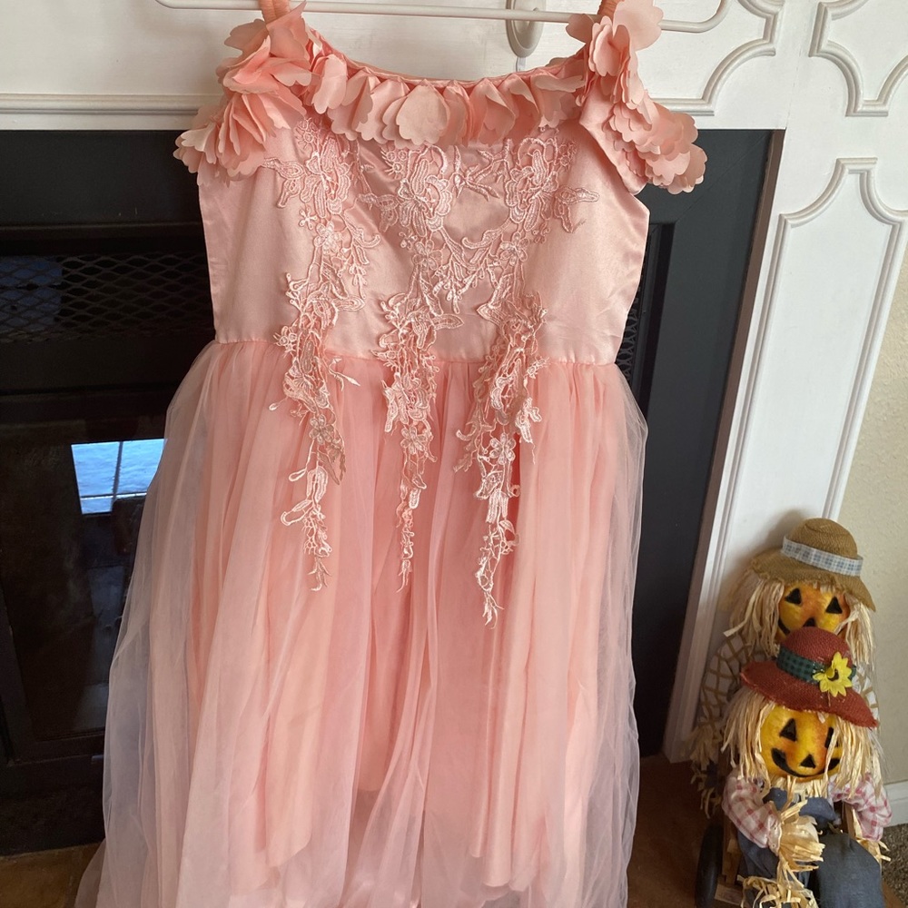 Trish Scully Bianca Gown Peachy Pink size 12